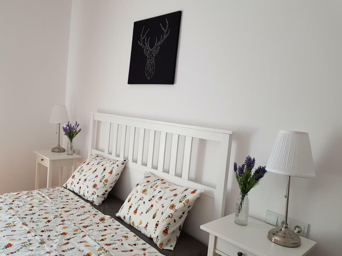 Oberiter Apartments - Center Of Zagreb, Fast Wifi, Ac, Kitchen, Parking 외부 사진